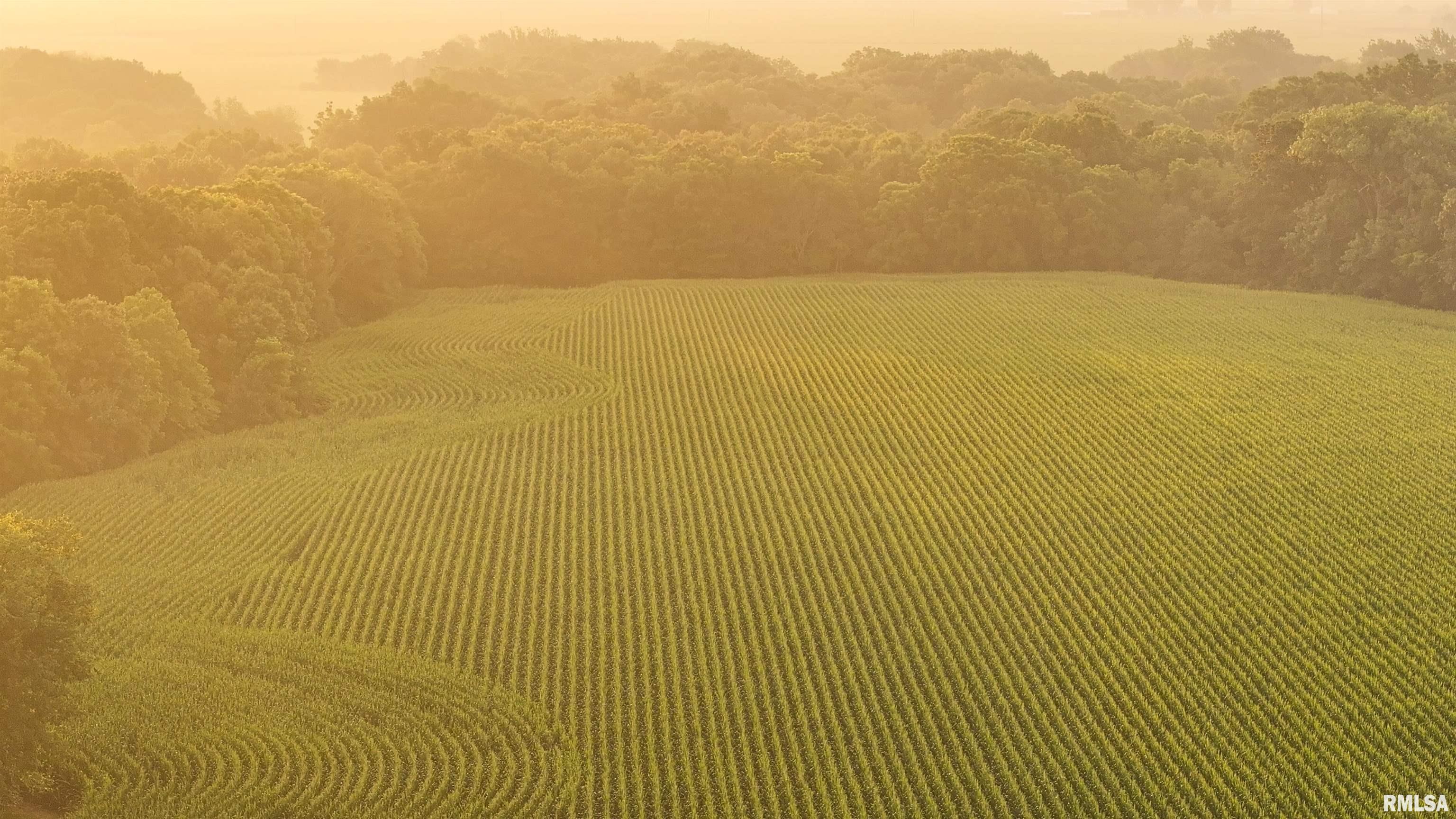 6188 East Howard Road Smithfield, IL 61477 - Photo 17 of 27