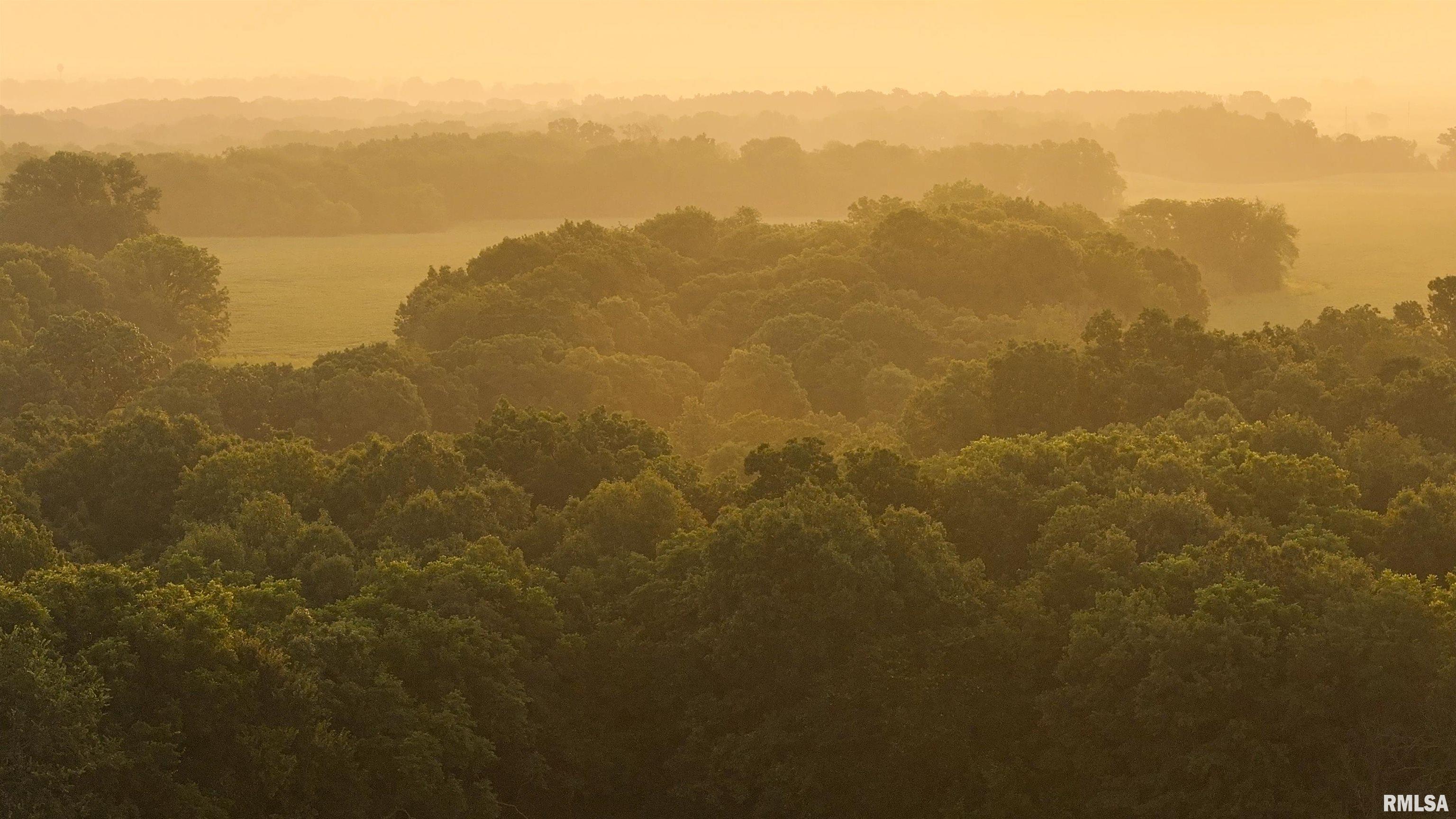 6188 East Howard Road Smithfield, IL 61477 - Photo 19 of 27