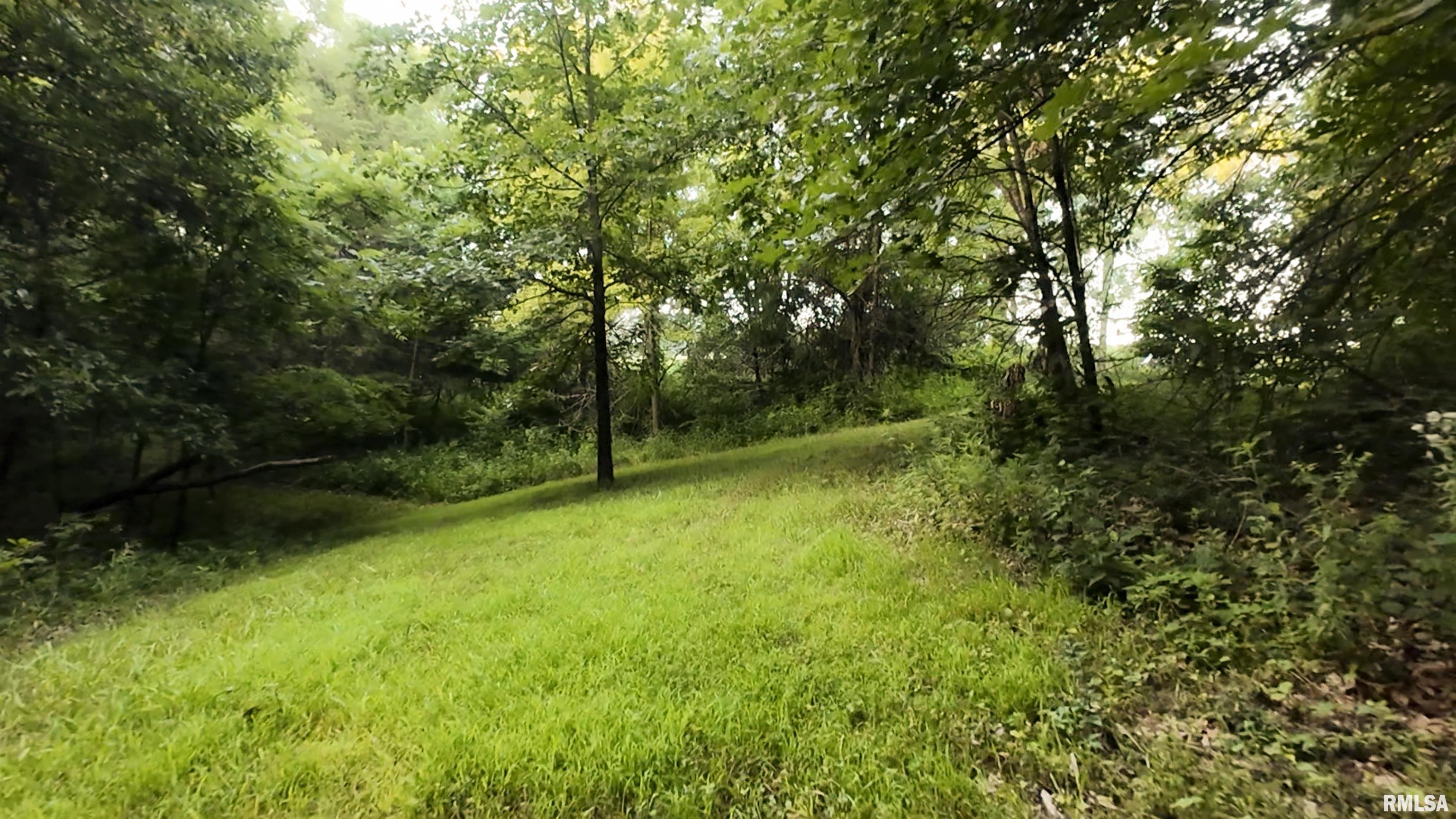 6188 East Howard Road Smithfield, IL 61477 - Photo 2 of 27