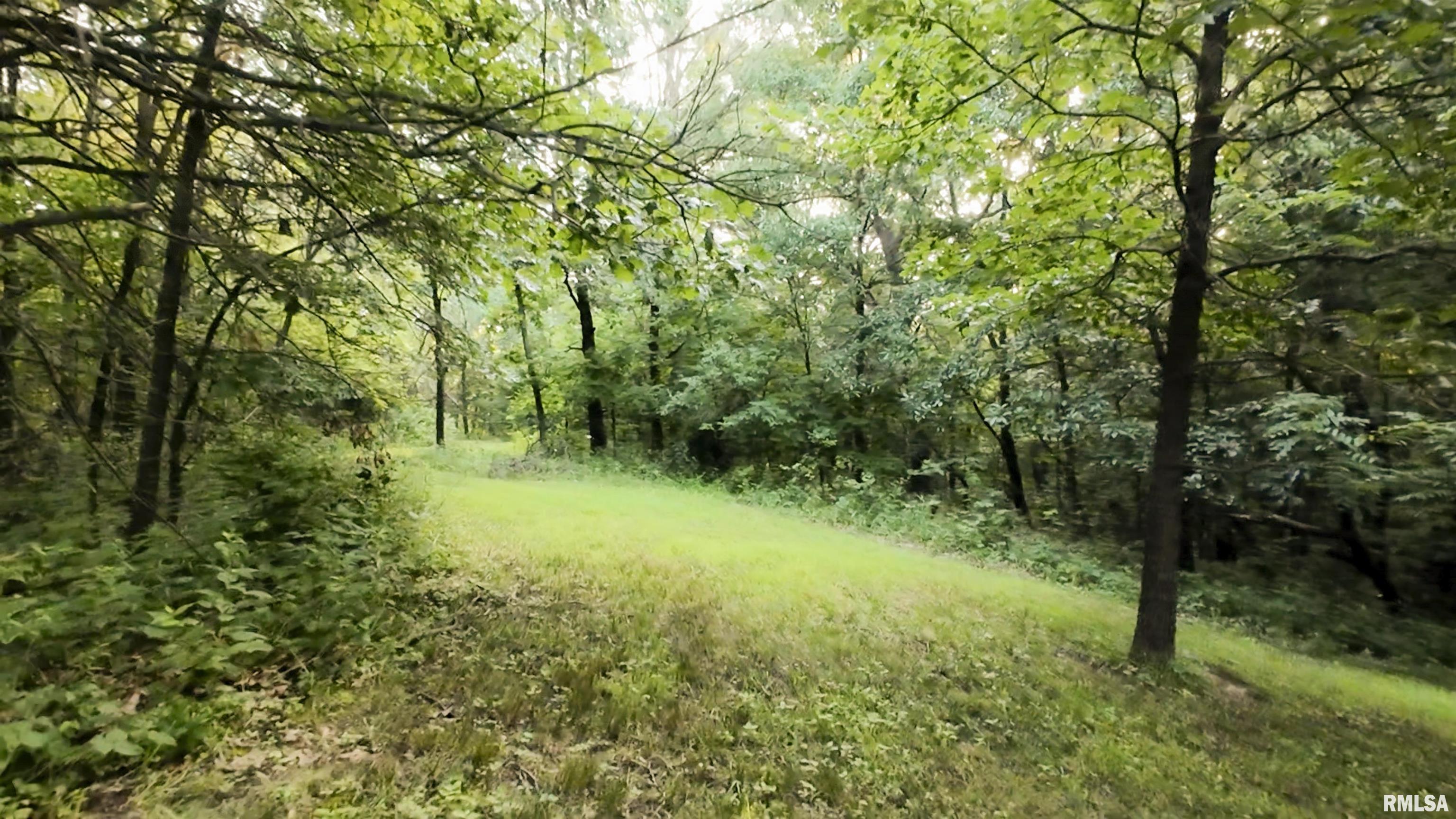 6188 East Howard Road Smithfield, IL 61477 - Photo 22 of 27