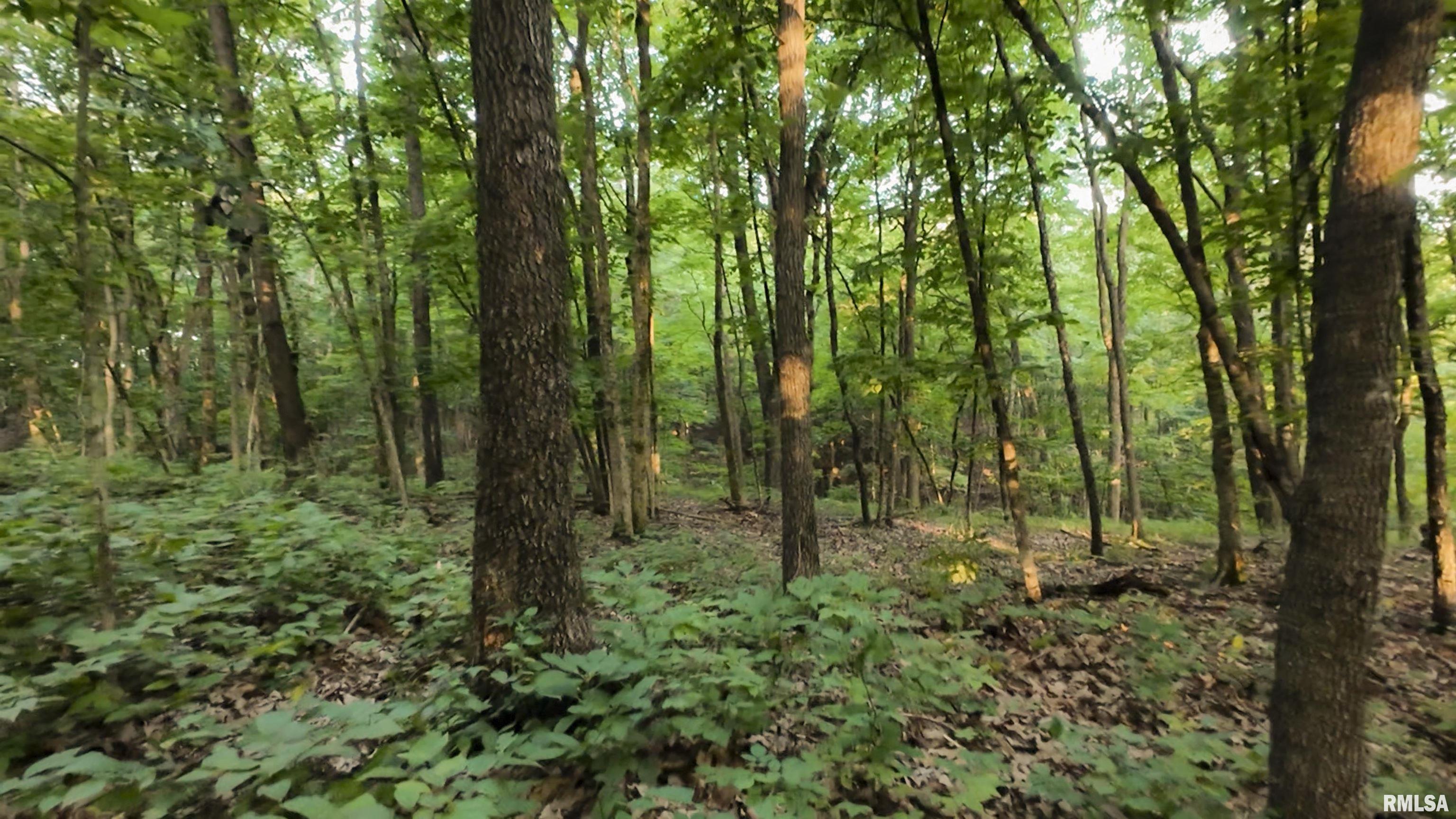 6188 East Howard Road Smithfield, IL 61477 - Photo 23 of 27