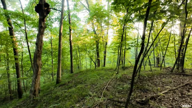 $620,000 | 6188 East Howard Road, Smithfield, IL 61477