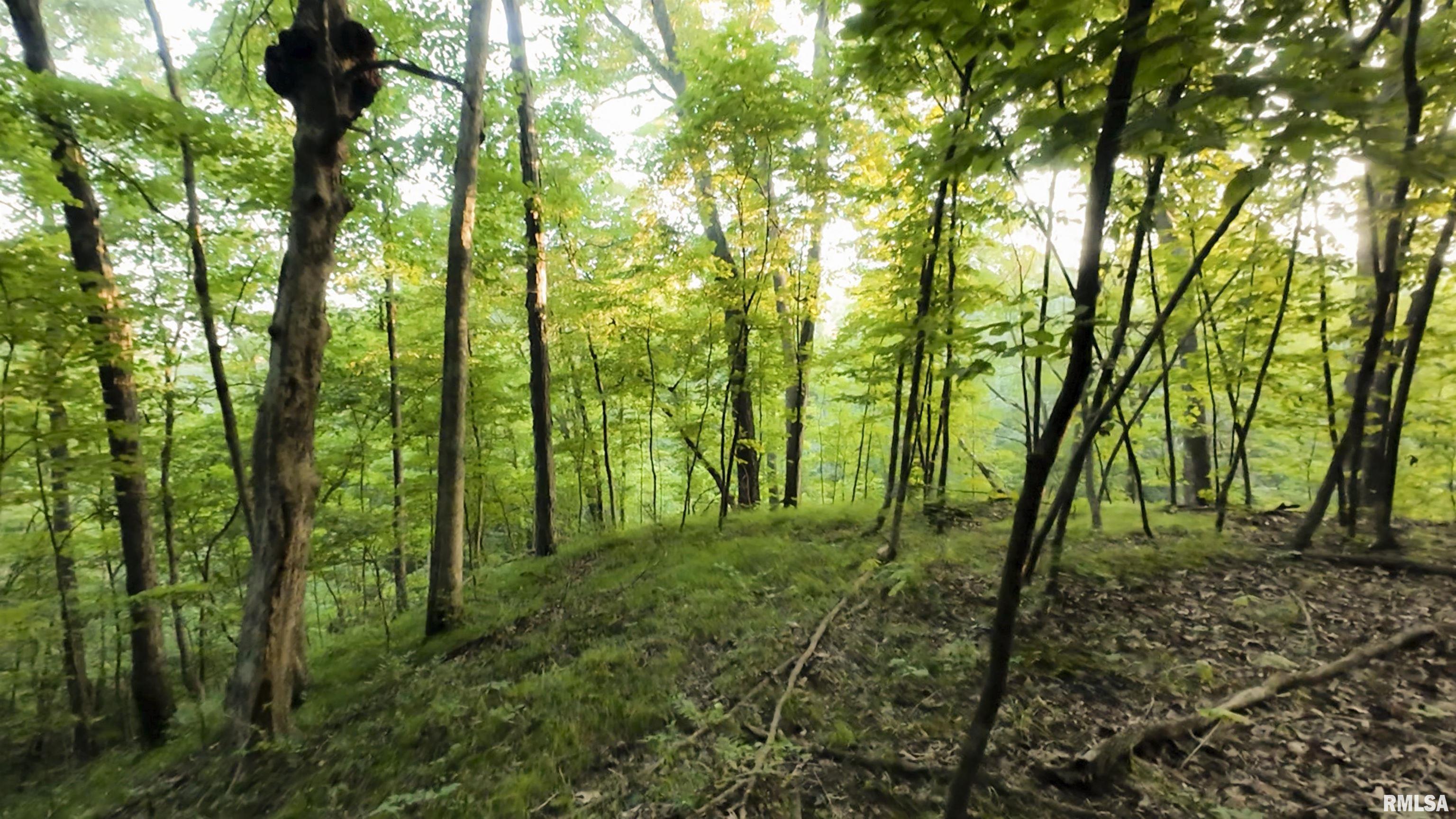 6188 East Howard Road Smithfield, IL 61477 - Photo 24 of 27