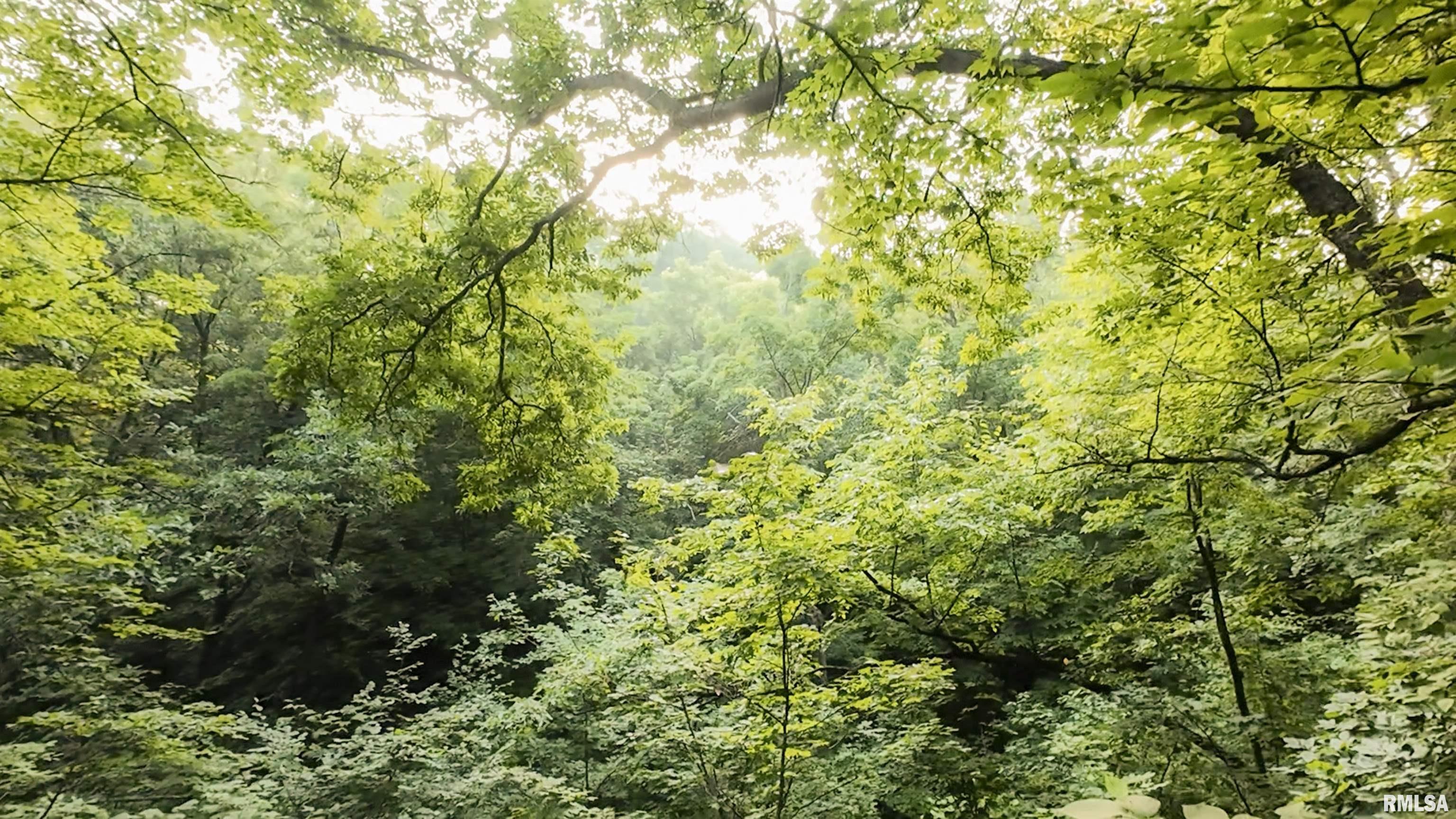 6188 East Howard Road Smithfield, IL 61477 - Photo 25 of 27