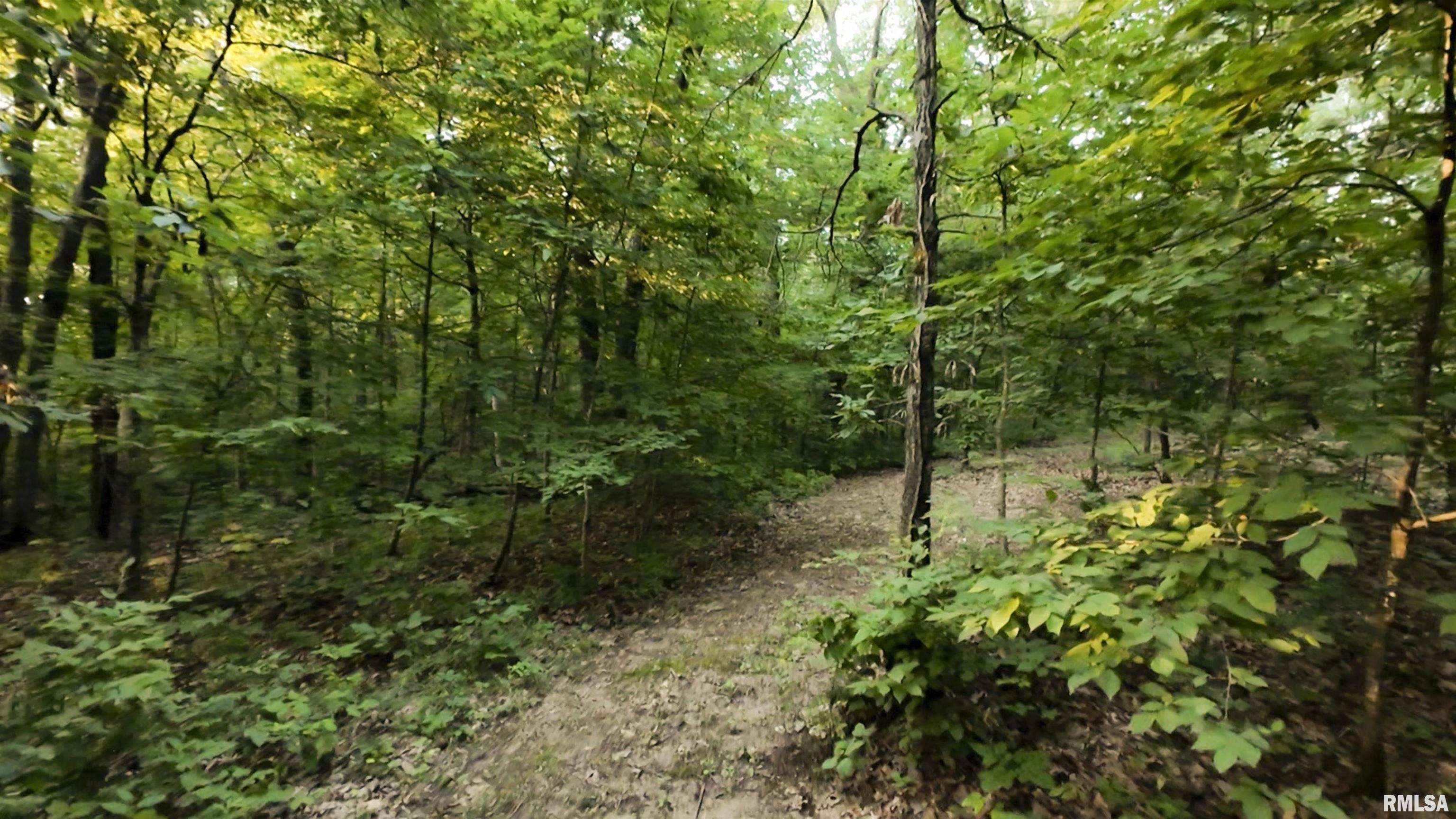 6188 East Howard Road Smithfield, IL 61477 - Photo 26 of 27