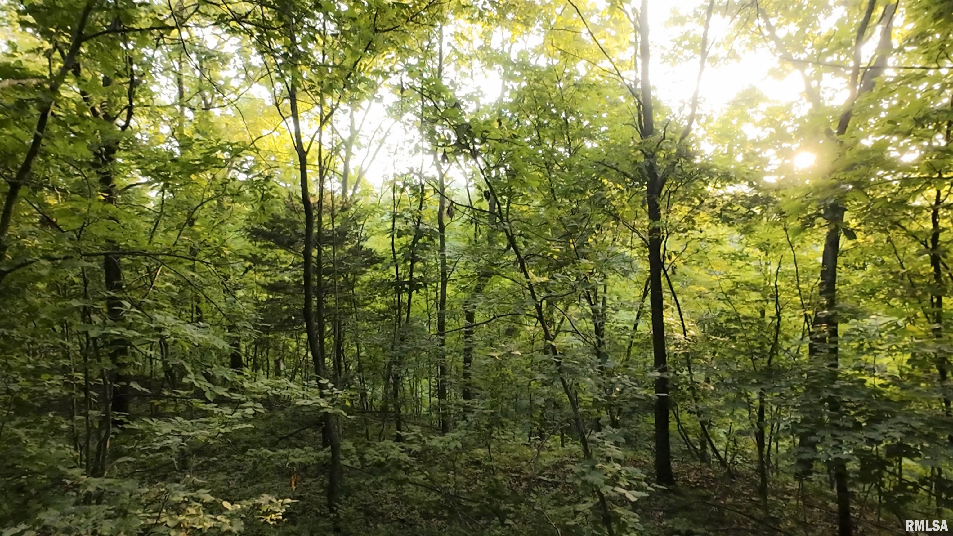 6188 East Howard Road Smithfield, IL 61477 - Photo 27 of 27