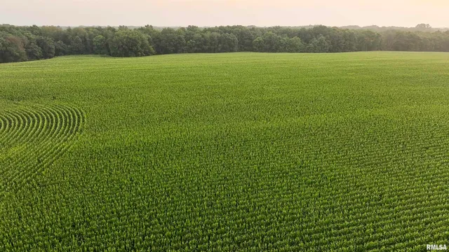 $620,000 | 6188 East Howard Road, Smithfield, IL 61477