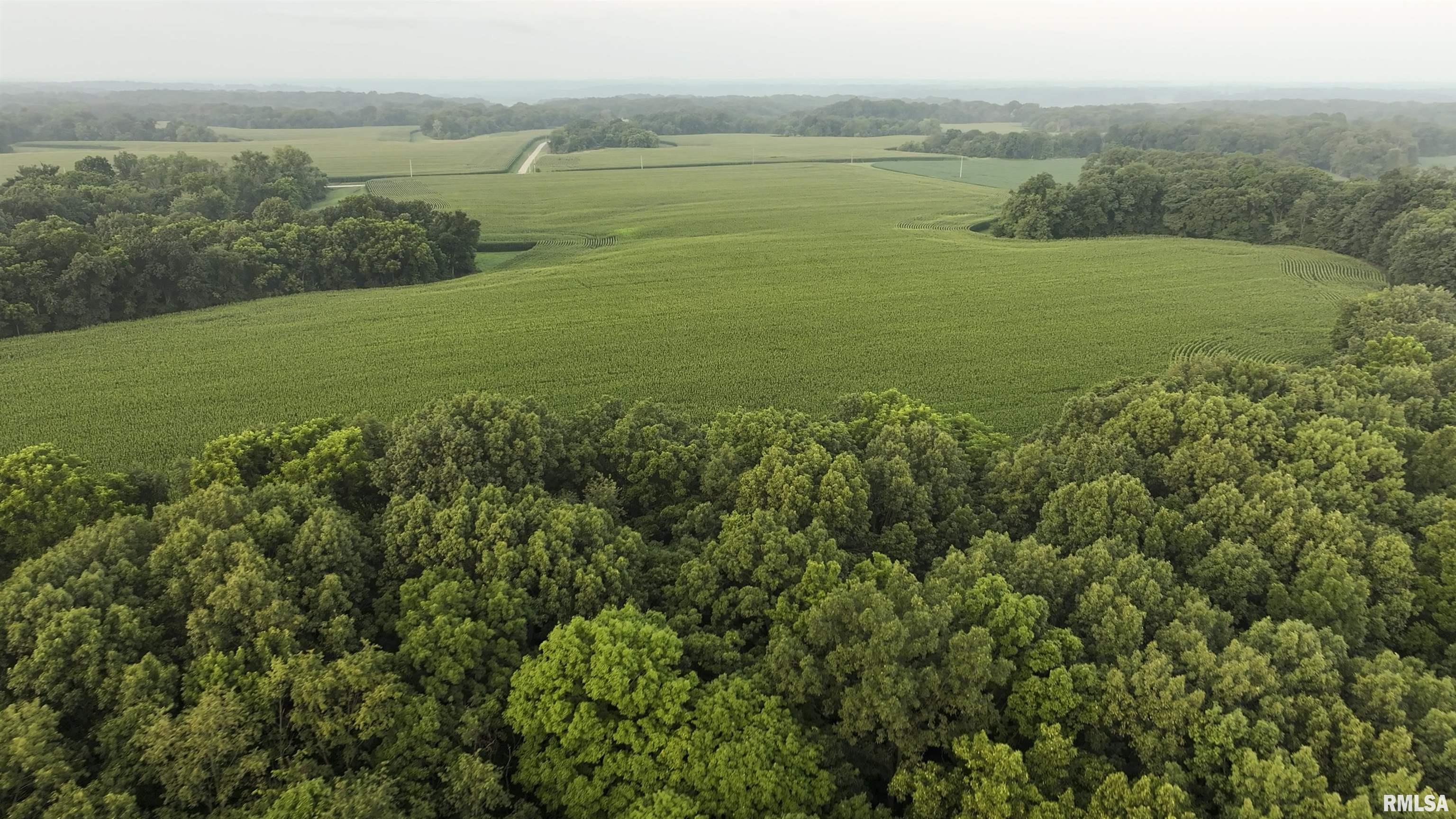 6188 East Howard Road Smithfield, IL 61477 - Photo 5 of 27