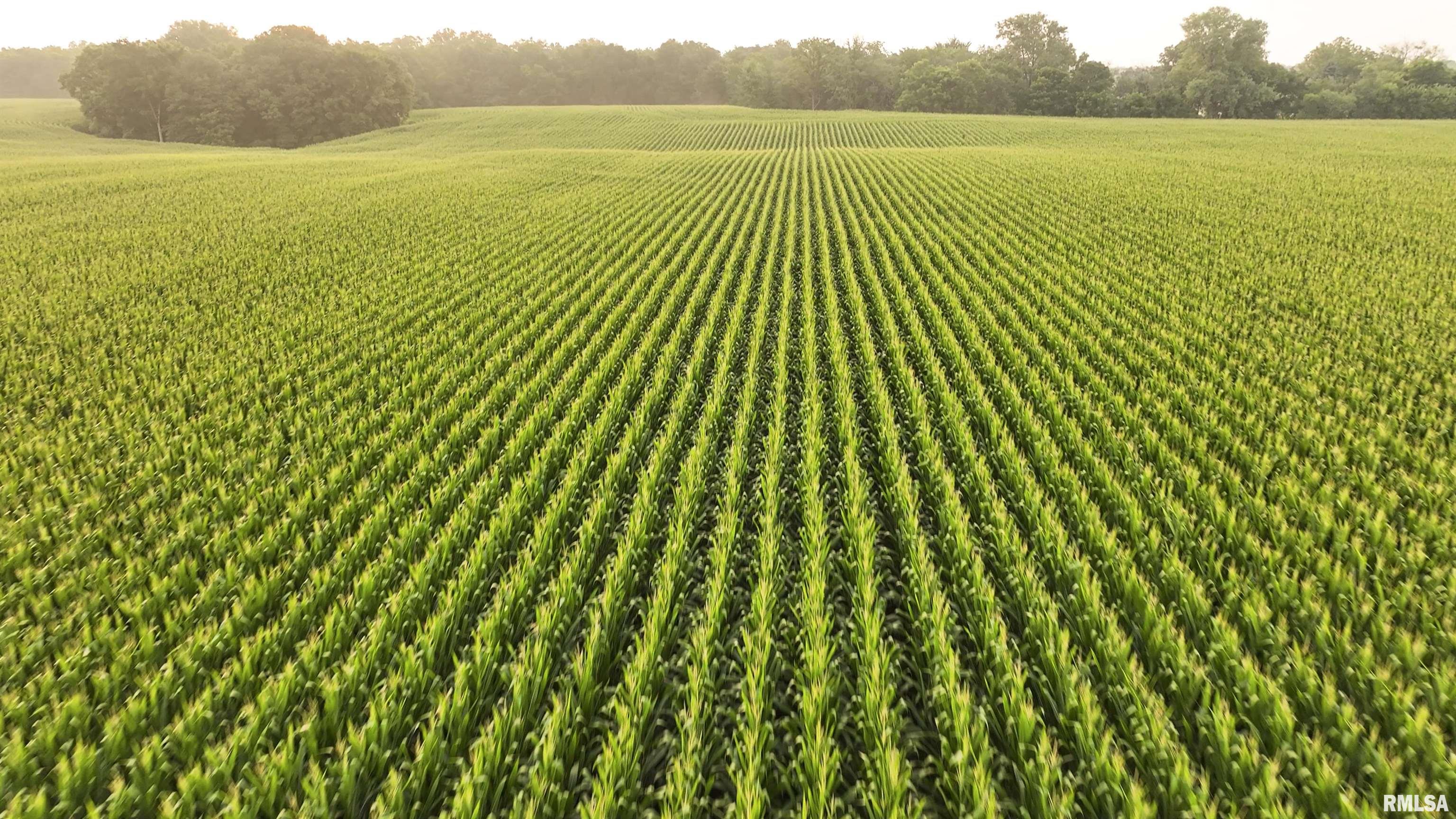 6188 East Howard Road Smithfield, IL 61477 - Photo 6 of 27