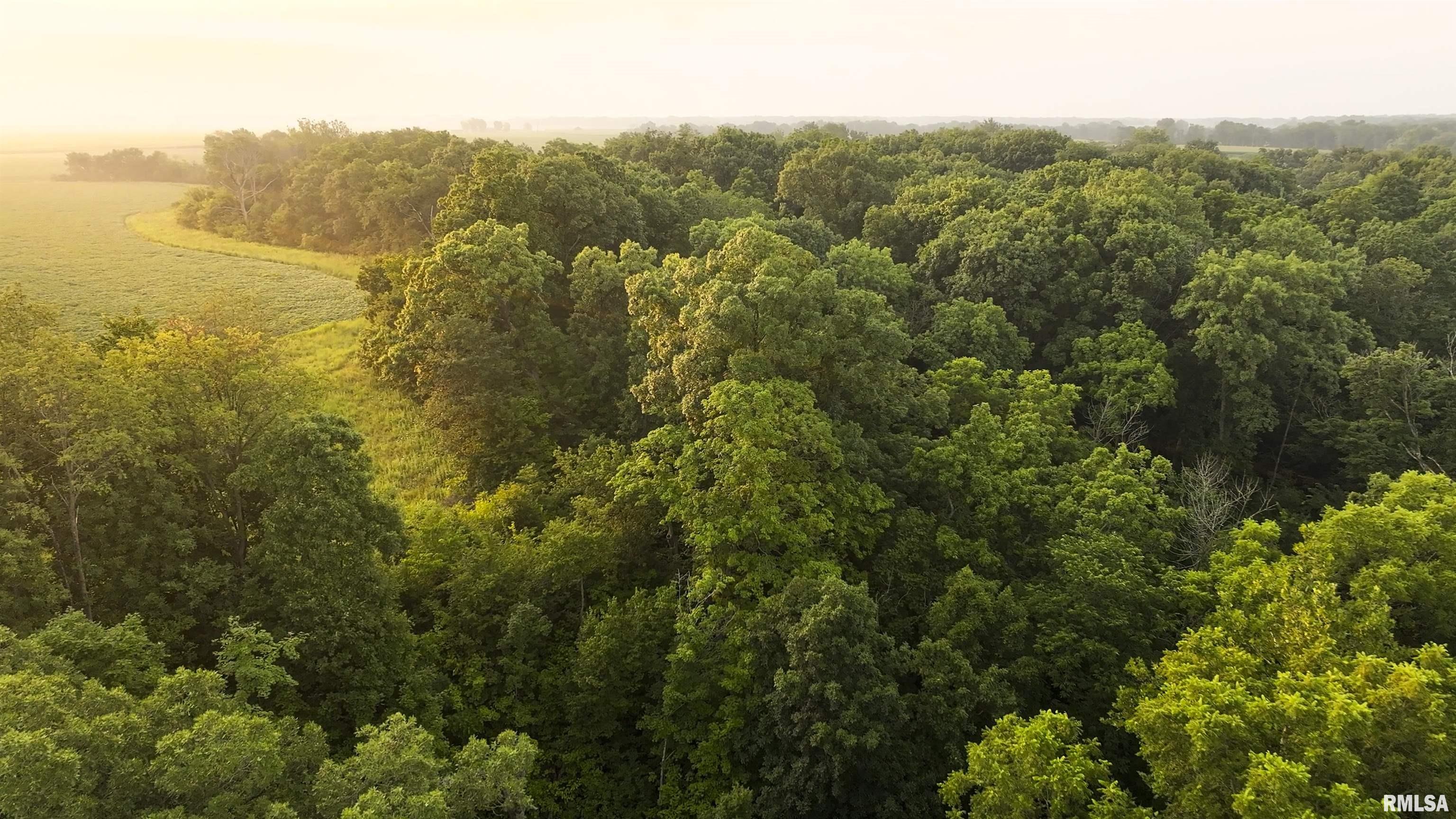 6188 East Howard Road Smithfield, IL 61477 - Photo 10 of 27