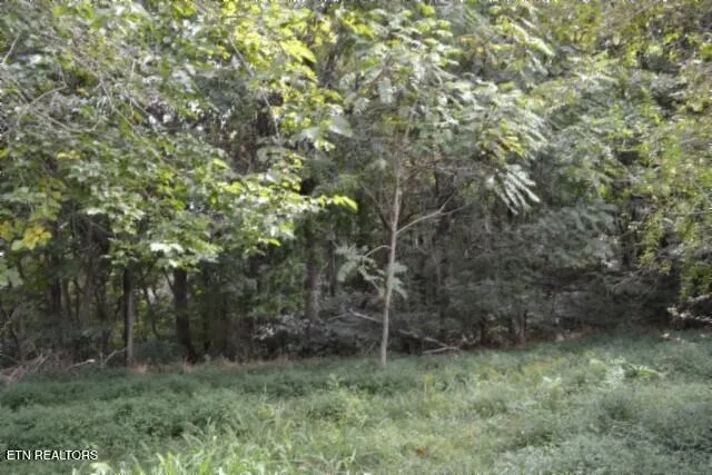 $249,900 | 1046 Livingston Highway, Byrdstown, TN 38549