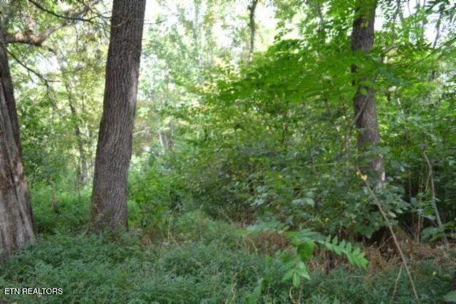 $249,900 | 1046 Livingston Highway, Byrdstown, TN 38549