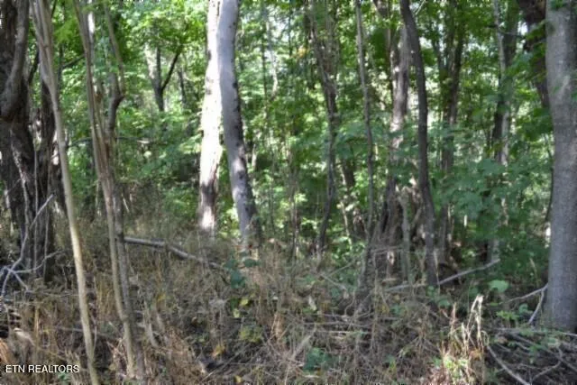 $249,900 | 1046 Livingston Highway, Byrdstown, TN 38549