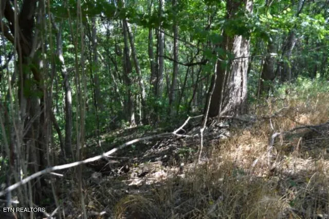 $249,900 | 1046 Livingston Highway, Byrdstown, TN 38549