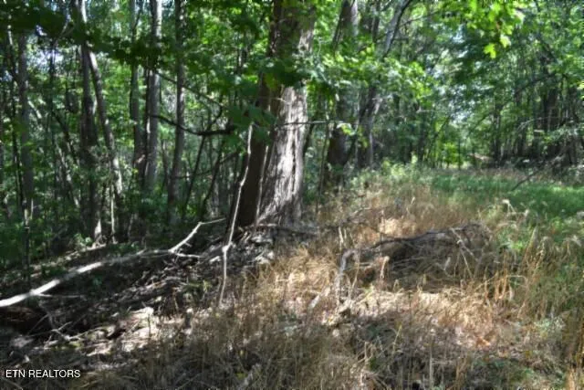 $249,900 | 1046 Livingston Highway, Byrdstown, TN 38549