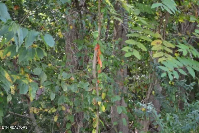 $249,900 | 1046 Livingston Highway, Byrdstown, TN 38549