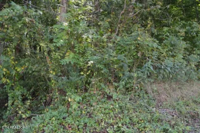 $249,900 | 1046 Livingston Highway, Byrdstown, TN 38549