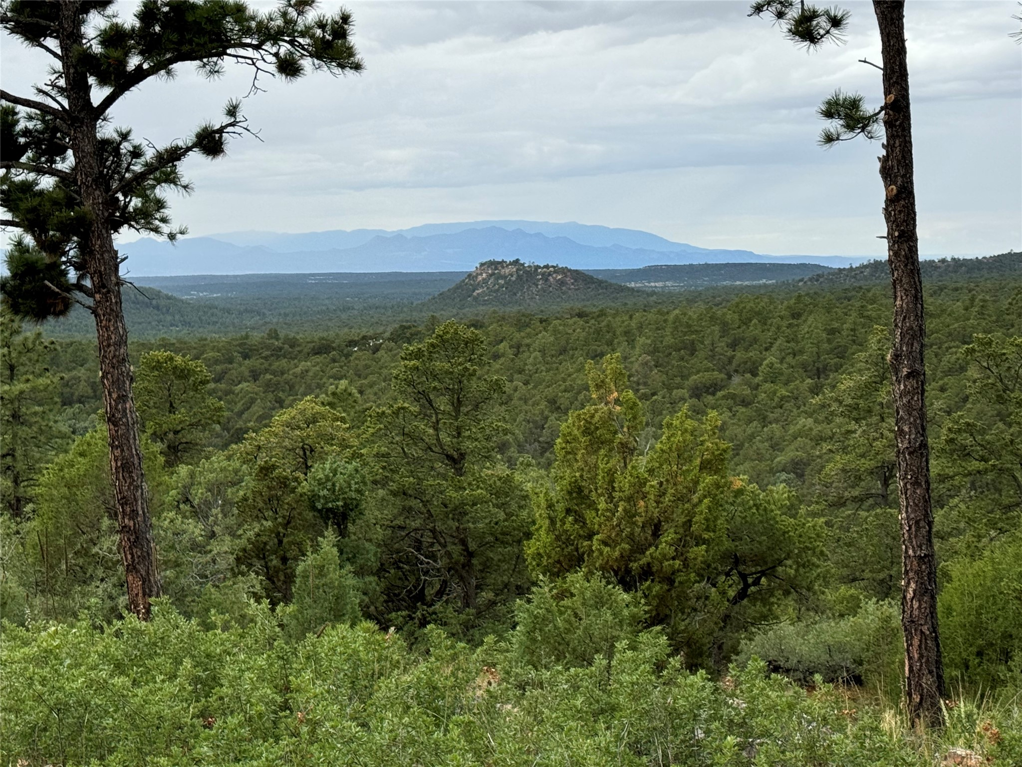 45 The Cliffs View Glorieta, NM 87535 - Photo 3 of 11