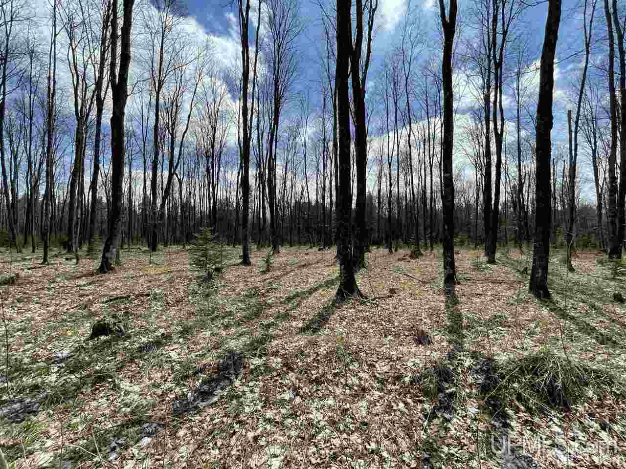 Tbd Way Dam Road Crystal Falls, MI 49920 - Photo 17 of 30 Gallery Image 17
