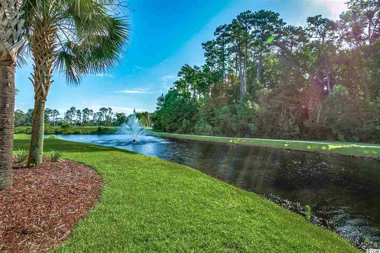 1000 Ray Costin Way, Unit 105 Murrells Inlet, SC 29576 - Photo 22 of 32 Gallery Image 22