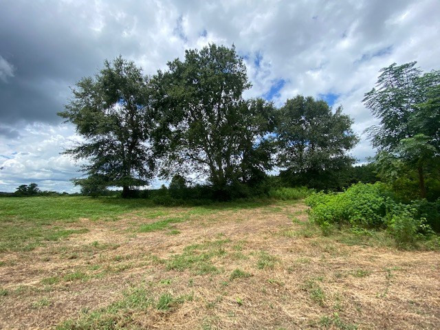 0 Sunlight Church Road Sandy Hook, MS 39478 - Photo 12 of 22 Photo 12