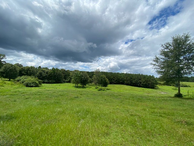 0 Sunlight Church Road Sandy Hook, MS 39478 - Photo 15 of 22 Photo 15