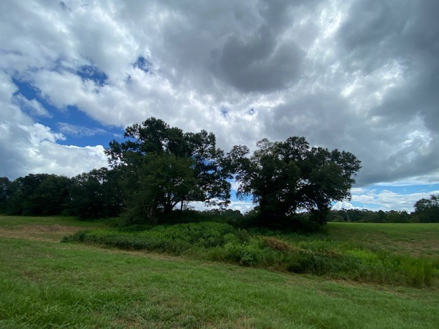 0 Sunlight Church Road Sandy Hook, MS 39478 - Photo 18 of 22 Photo 18