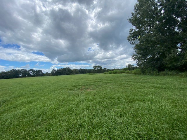 0 Sunlight Church Road Sandy Hook, MS 39478 - Photo 22 of 22 Photo 22