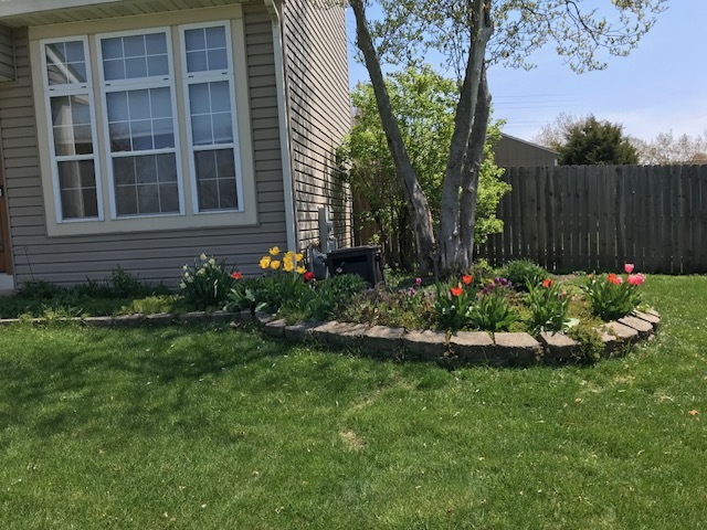 722 Burton Drive Batavia, IL 60510 - Photo 30 of 35 a view of a backyard with potted plants and a large tree