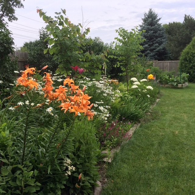 722 Burton Drive Batavia, IL 60510 - Photo 32 of 35 a view of a house with a lush green forest