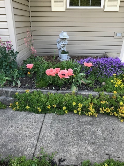 722 Burton Drive Batavia, IL 60510 - Photo 33 of 35 a view of a house with a backyard