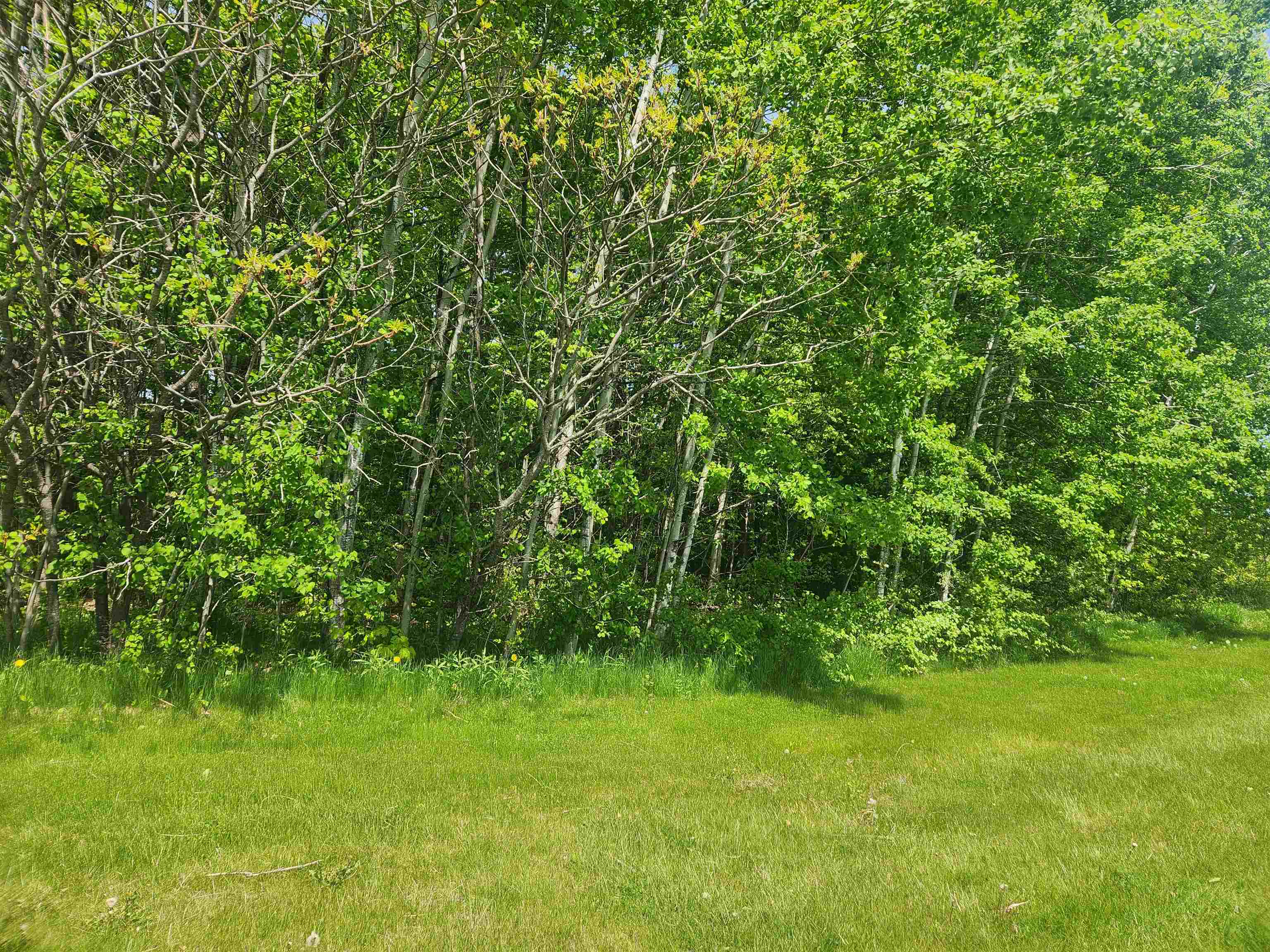 Xxx Raspberry Lane Bayfield, WI 54814 - Photo 18 of 34 Gallery Image 18