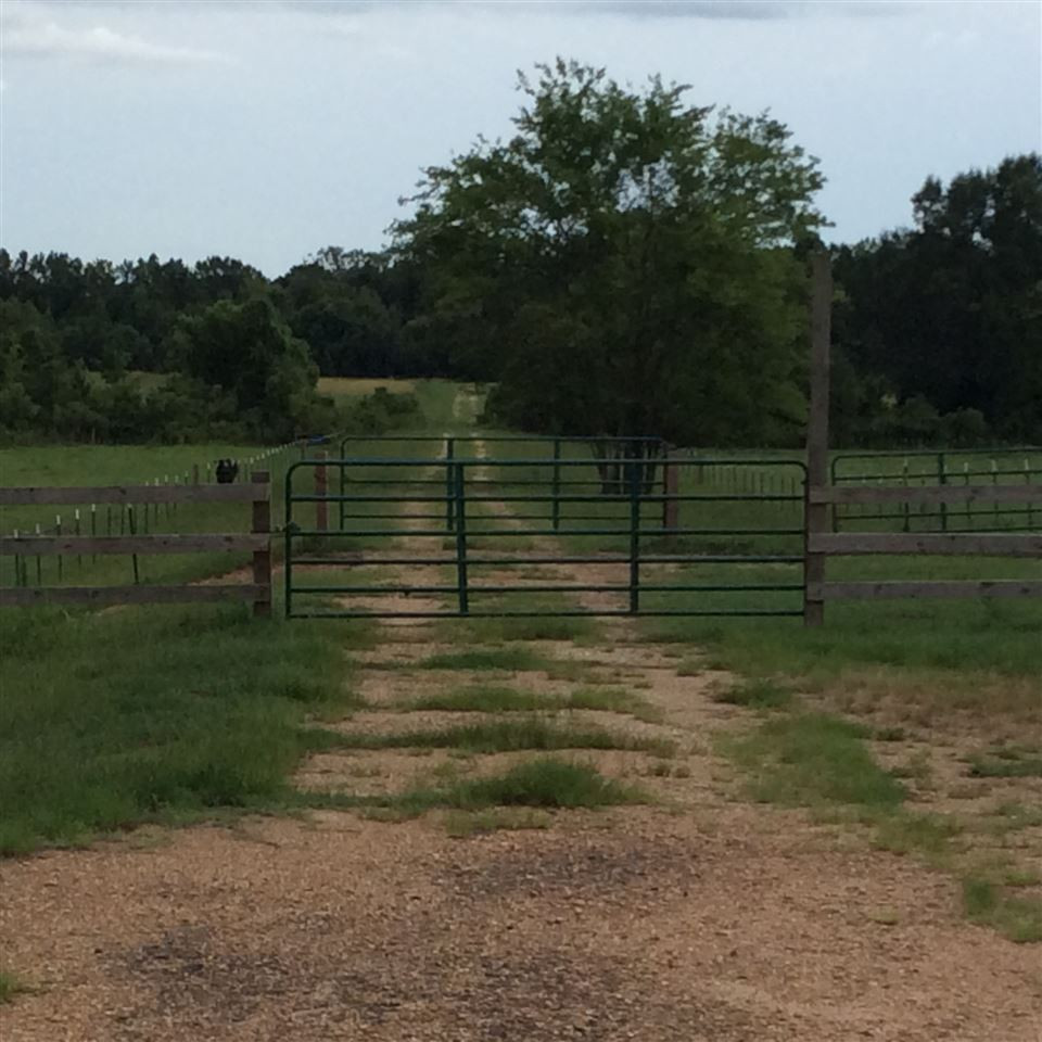 Lot 2 Livingston Vernon Road Flora, MS 39071 - Photo 4 of 10 Photo 4
