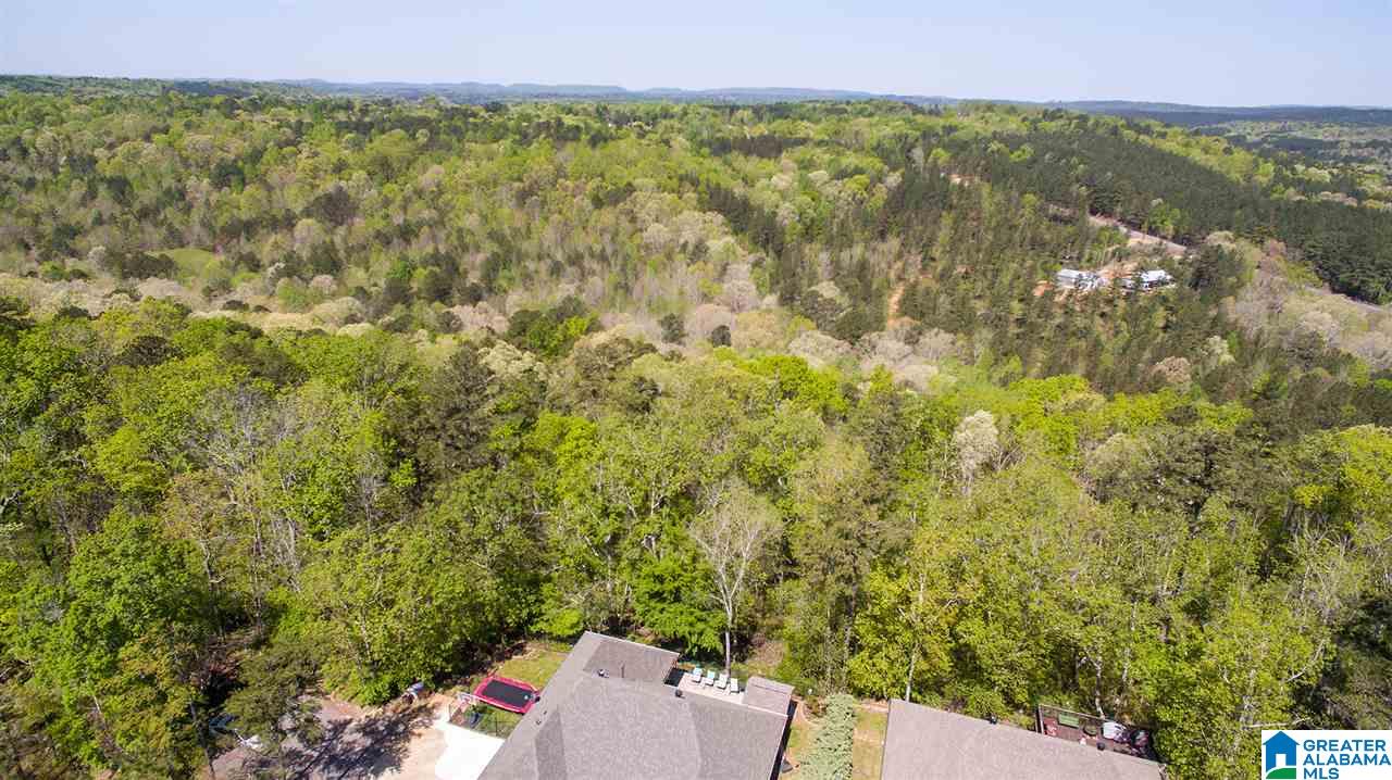 503 Cross Ridge Lane Odenville, AL 35120 - Photo 33 of 37