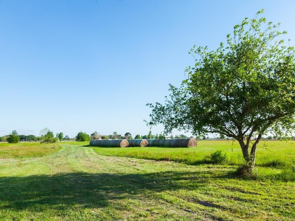 2301 FM 360 Road Rosenberg, TX 77471 - Photo 6 of 10 a view of green field with tree in the background