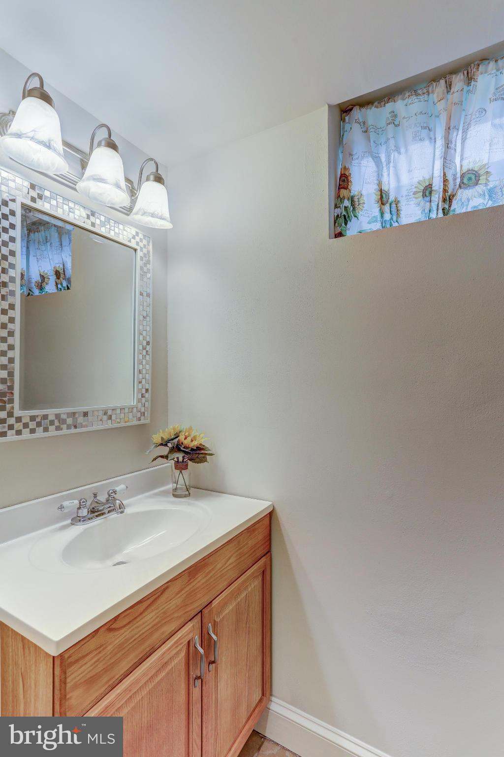 6079 Pilgrims Rest Road Broad Run, VA 20137 - Photo 24 of 30 lower level 1/2bath