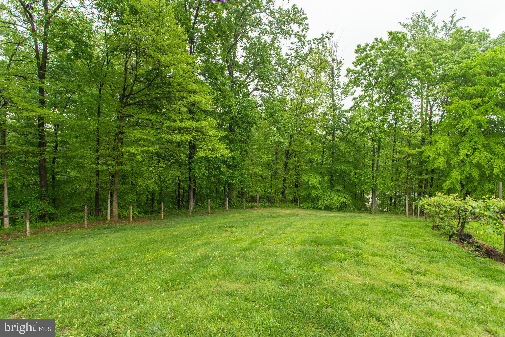 6079 Pilgrims Rest Road Broad Run, VA 20137 - Photo 28 of 30 Exterior (Rear)