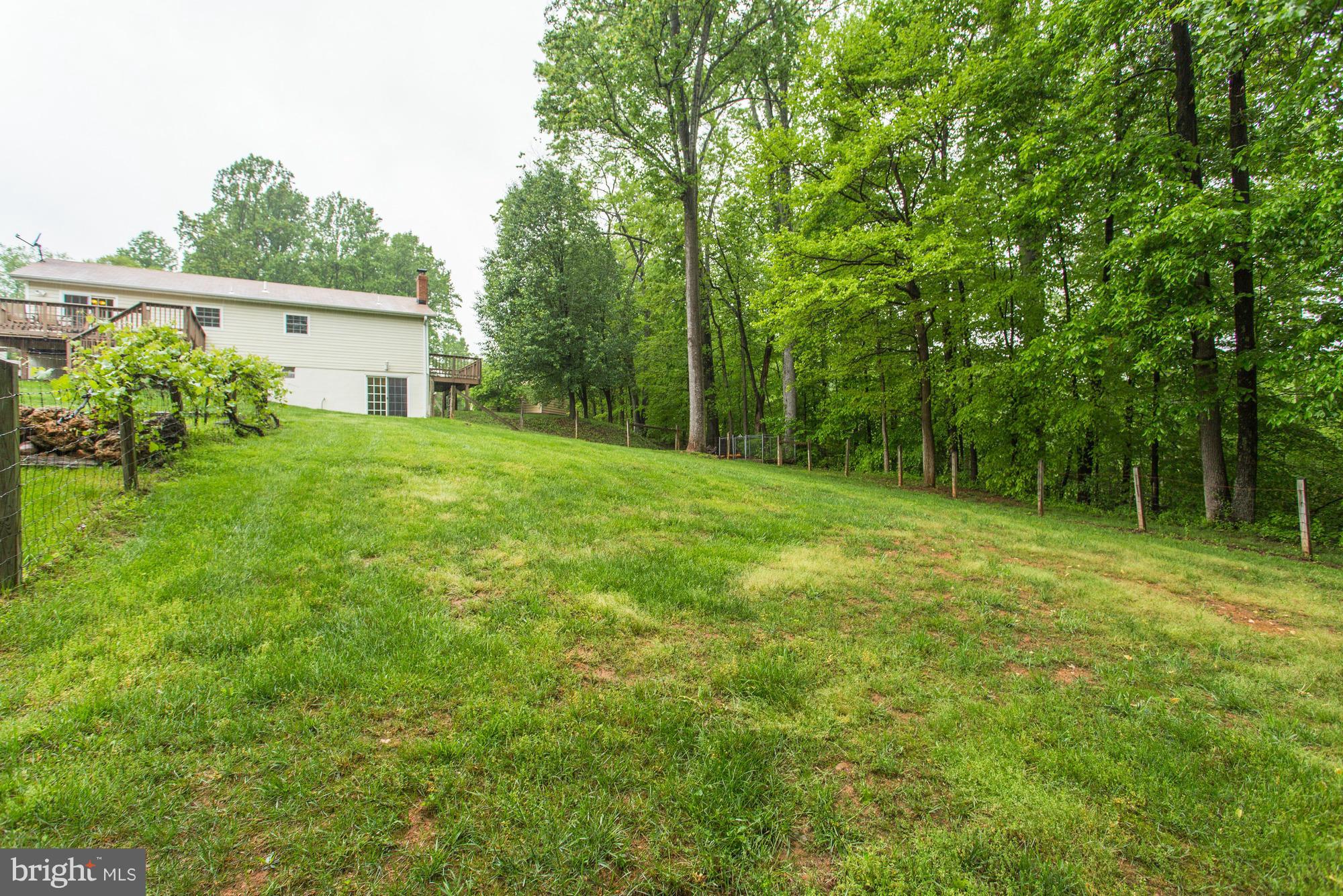 6079 Pilgrims Rest Road Broad Run, VA 20137 - Photo 29 of 30 Exterior (Rear)