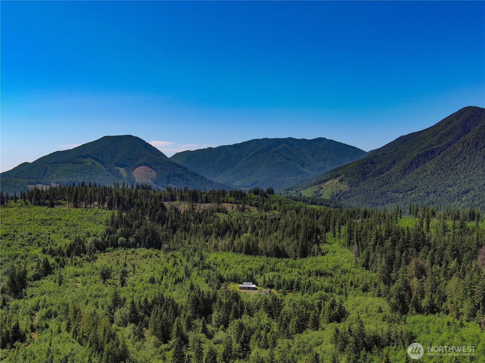 2904 Wildwood Road Quilcene, WA 98376 - Photo 17 of 39 a view of a lush green field