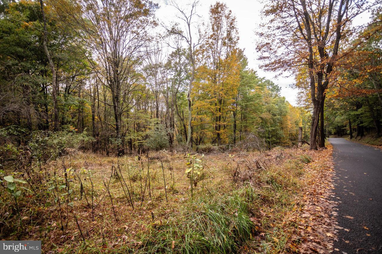 0 Dry Run Road Brandywine, WV 26802 - Photo 7 of 33