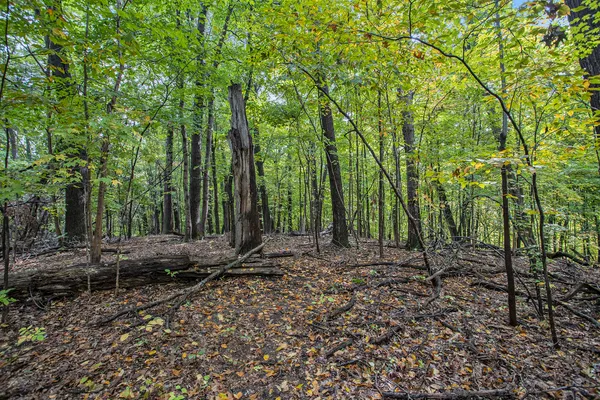 $89,900 | Collier Avenue, Battle Creek, MI 49017