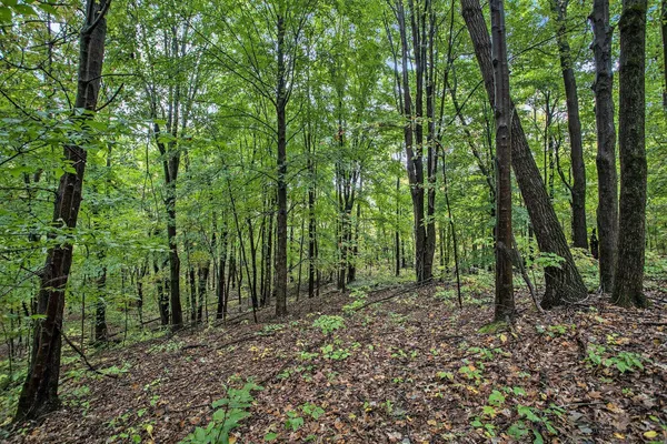 $89,900 | Collier Avenue, Battle Creek, MI 49017