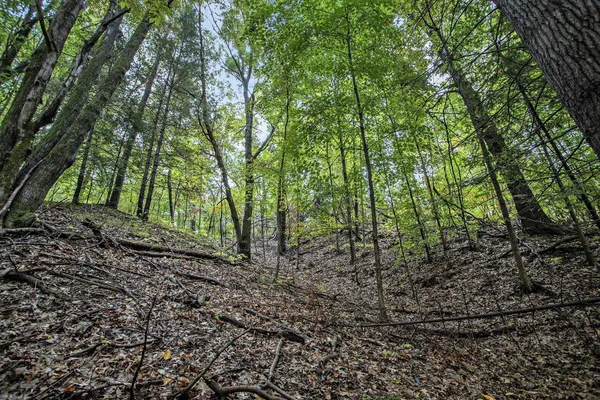 $89,900 | Collier Avenue, Battle Creek, MI 49017