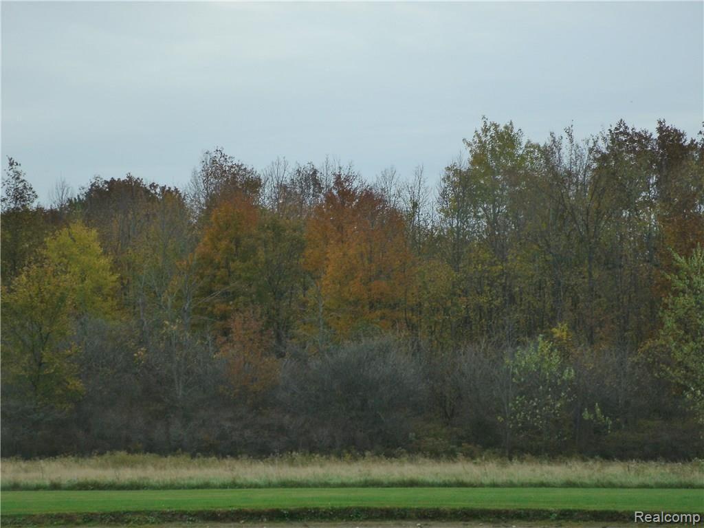 280 Riley Center Road Memphis, MI 48041 - Photo 21 of 23