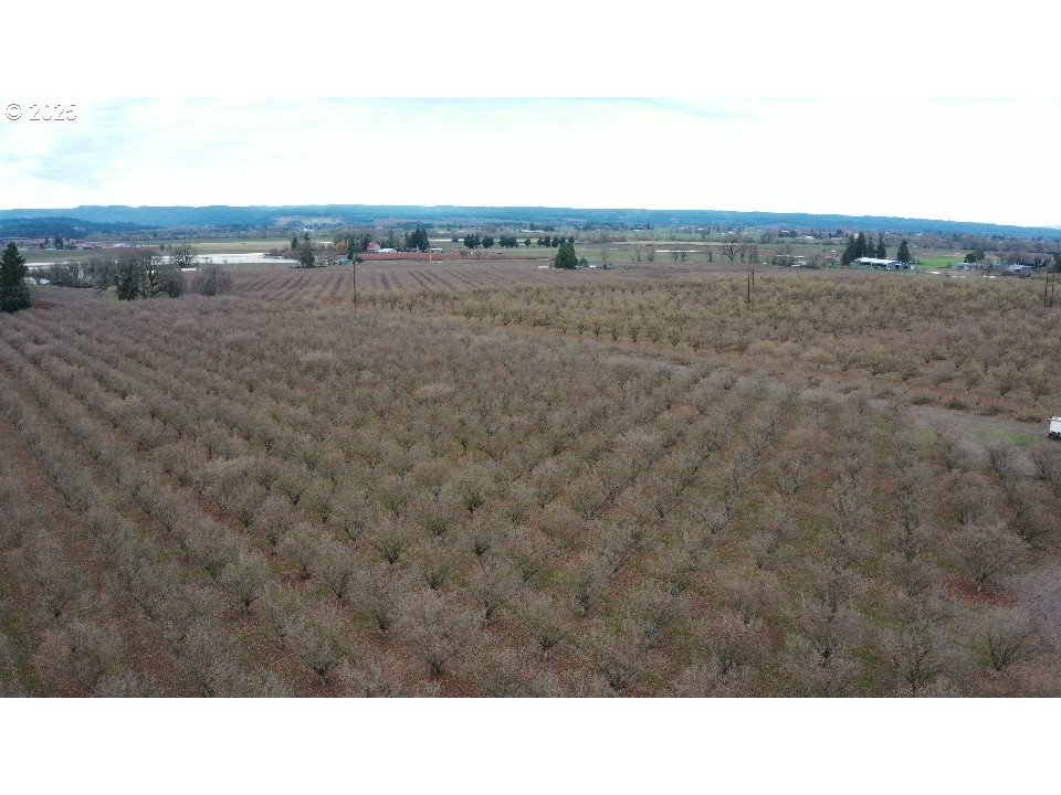 45868 Northwest Hillside Road Forest Grove, OR 97116 - Photo 13 of 24