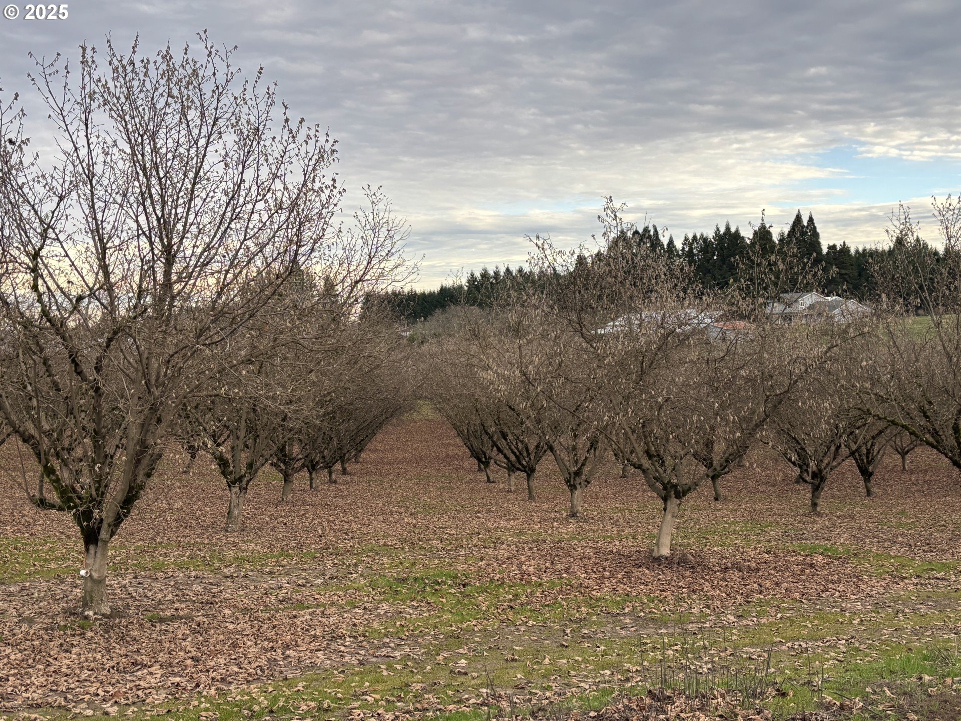 45868 Northwest Hillside Road Forest Grove, OR 97116 - Photo 14 of 24