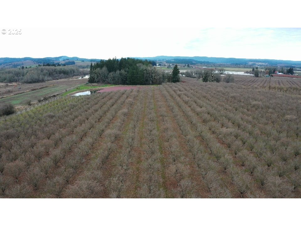 45868 Northwest Hillside Road Forest Grove, OR 97116 - Photo 15 of 24