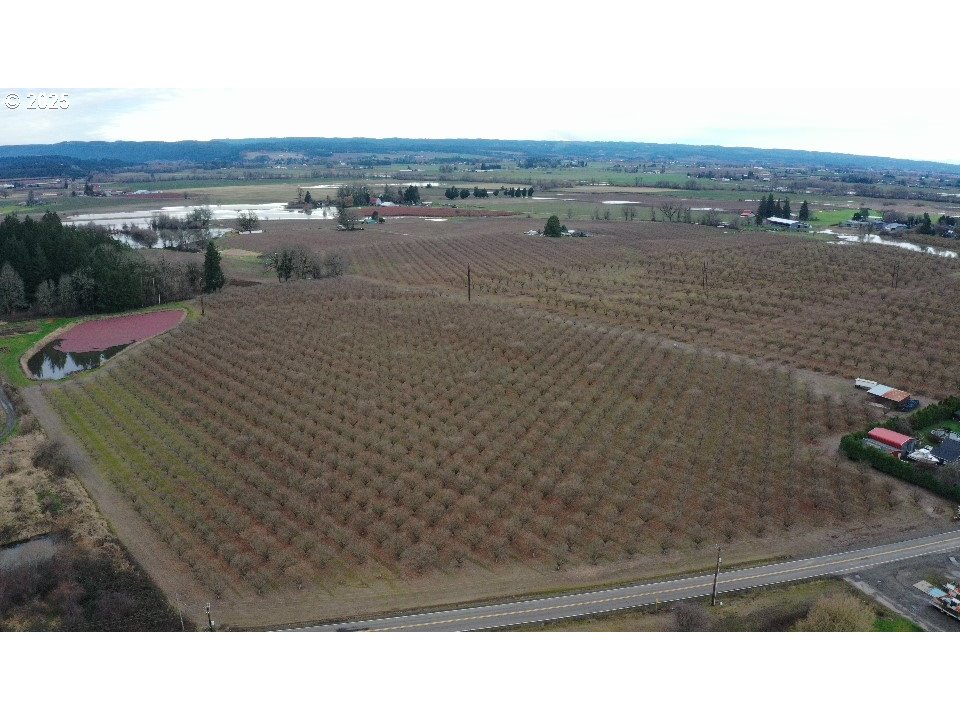 45868 Northwest Hillside Road Forest Grove, OR 97116 - Photo 18 of 24