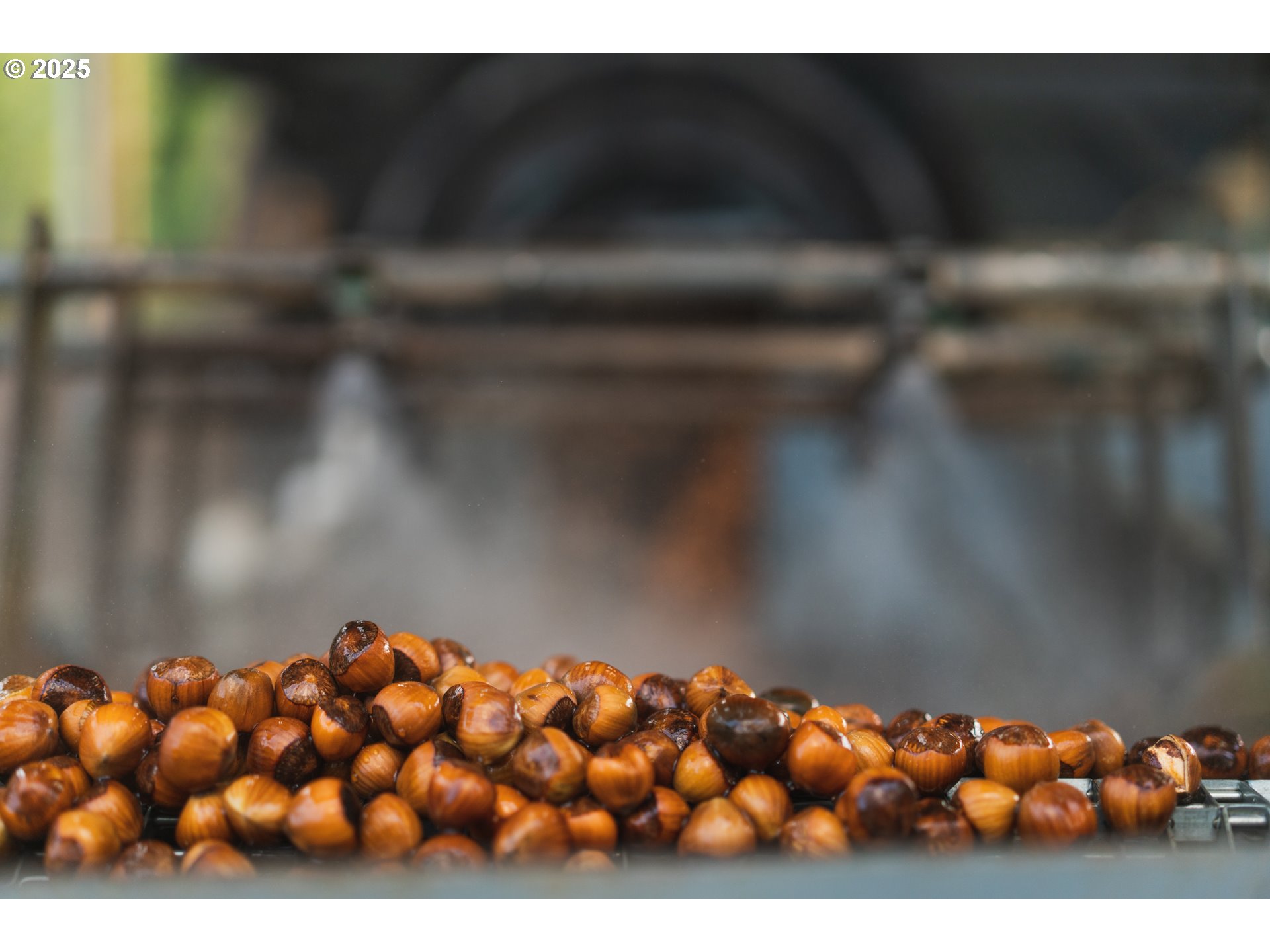 45868 Northwest Hillside Road Forest Grove, OR 97116 - Photo 20 of 24