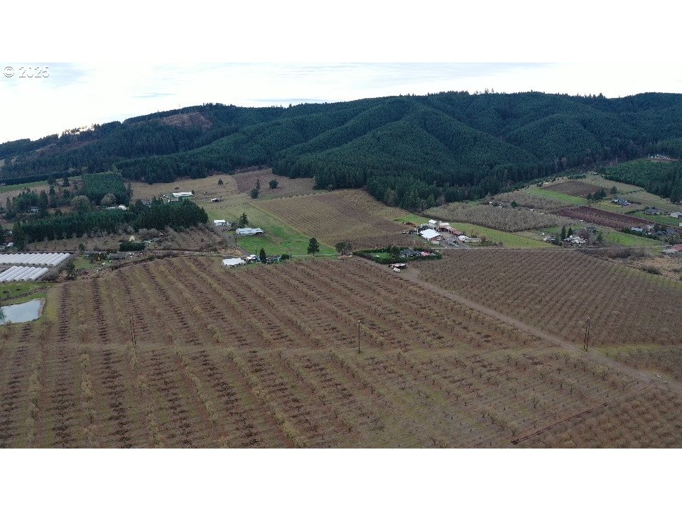 45868 Northwest Hillside Road Forest Grove, OR 97116 - Photo 2 of 24